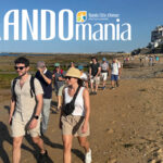 Randomania-visuel